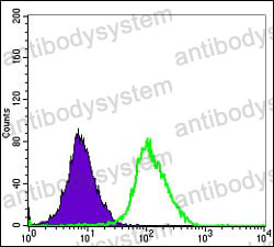 Anti-MAPK6/ERK3 Antibody (R3U48)