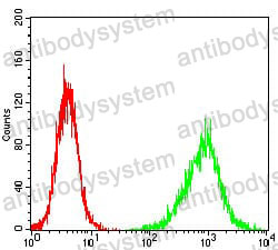 Anti-HH3 Antibody (R3U51)