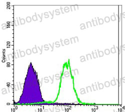 Anti-CA9 Antibody (R3U56)