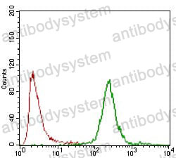 Anti-CA9 Antibody (R3U57)