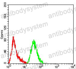 Anti-PCK2 Antibody (R3U59)