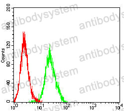 Anti-MICB Antibody (R3U67)