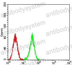 Anti-ATG2A Antibody (R3U74)