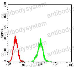 Anti-ATG2A Antibody (R3U75)