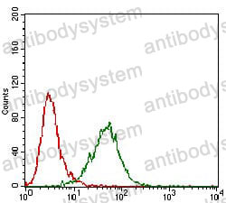 Anti-MMEL1 Antibody (R3U78)
