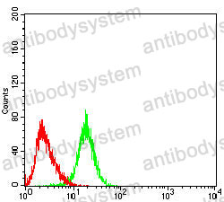 Anti-SV2C Antibody (R3U79)
