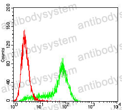 Anti-TMEM119 Antibody (R3U83)
