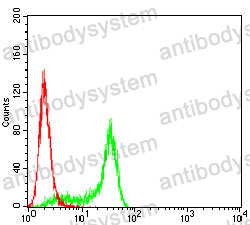 Anti-TMEM119 Antibody (R3U82)