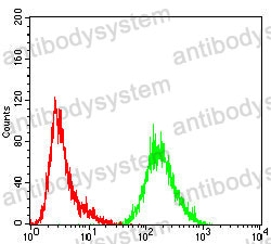Anti-LRRK2 Antibody (R3U92)