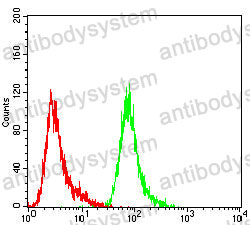 Anti-LRRK2 Antibody (R3U93)