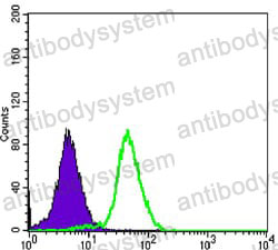 Anti-CD276/B7-H3 Antibody (R3U94)