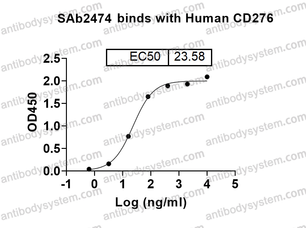 Anti-Human CD276/B7-H3 Nanobody (SAb2474)