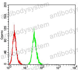 Anti-ATG16L1 Antibody (R3U97)