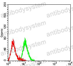 Anti-CD305/LAIR1 Antibody (R3U98)