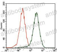 Anti-CSPG4/HMW-MAA/MCSP/NG2 Antibody (R3V07)