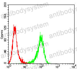 Anti-CD109 Antibody (R3V11)