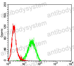 Anti-CD109 Antibody (R3V10)