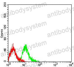 Anti-CD109 Antibody (R3V09)