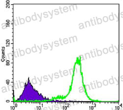 Anti-IL34 Antibody (R3V12)