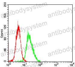 Anti-HH3 Antibody (R3V14)