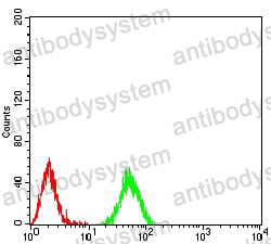 Anti-HIST2H3C (27Ac) Antibody (R3V15)