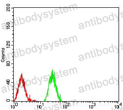 Anti-HIST2H3C (27Ac) Antibody (R3V16)