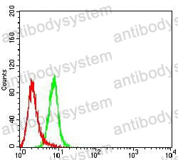 Anti-CD272/BTLA Antibody (R3V19)