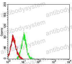 Anti-CD272/BTLA Antibody (R3V21)