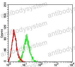 Anti-CD272/BTLA Antibody (R3V22)
