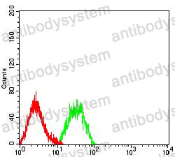 Anti-VTCN1/B7-H4 Antibody (R3V25)