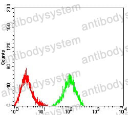 Anti-VTCN1/B7-H4 Antibody (R3V24)