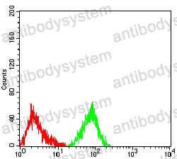Anti-CD163 Antibody (R3V27)