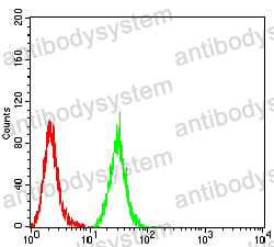 Anti-MIB1 Antibody (R3V30)