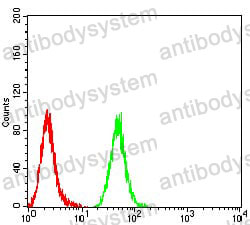 Anti-MIB1 Antibody (R3V29)