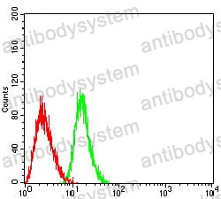 Anti-CD301/CLEC10A Antibody (R3V31)