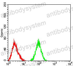 Anti-CD177 Antibody (R3V37)