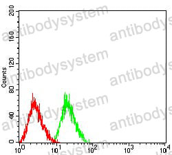 Anti-CD177 Antibody (R3V38)