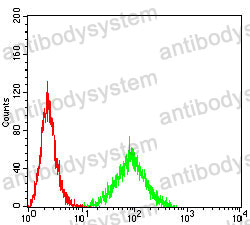 Anti-CD85k/LILRB4/ILT3 Antibody (R3V42)