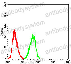 Anti-CD300f/CD300LF Antibody (R3V49)