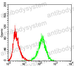 Anti-CD300f/CD300LF Antibody (R3V48)