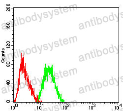 Anti-CD303/CLEC4C Antibody (R3V50)