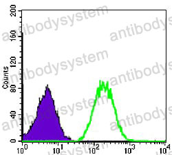 Anti-BLNK Antibody (R3V51)