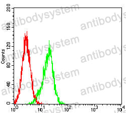 Anti-MUC16/CA125 Antibody (R3V54)