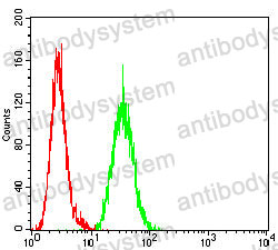 Anti-MUC16/CA125 Antibody (R3V55)