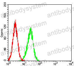 Anti-MUC16/CA125 Antibody (R3V53)