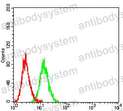 Anti-CD112/Nectin-2/PVRL2 Antibody (R3V58)