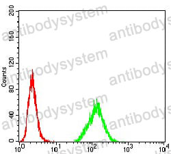 Anti-HDAC2 Antibody (R3V59)