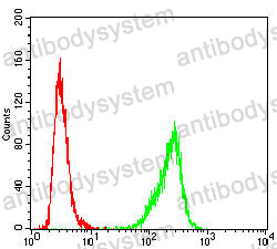 Anti-USP7 Antibody (R3V69)