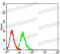 Anti-CD101 Antibody (R3V71)