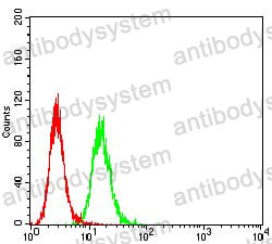 Anti-CD365/KIM-1/TIM-1/HAVCR1 Antibody (R3V77)